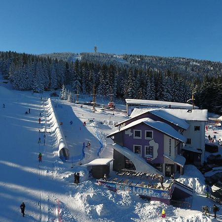 Pension Max Klinovec Loučná pod Klínovcem Esterno foto